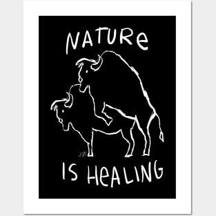 NATURE IS HEALING Posters and Art